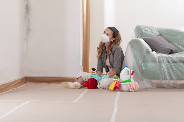 Reliable Mold Remediation contractor in Ellenville, NY by 24 Hour Mold Removal